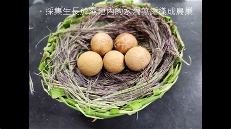 編織鳥窩教學|手編出來的‘’鳥巢‘’手工編織教程diy最新制作